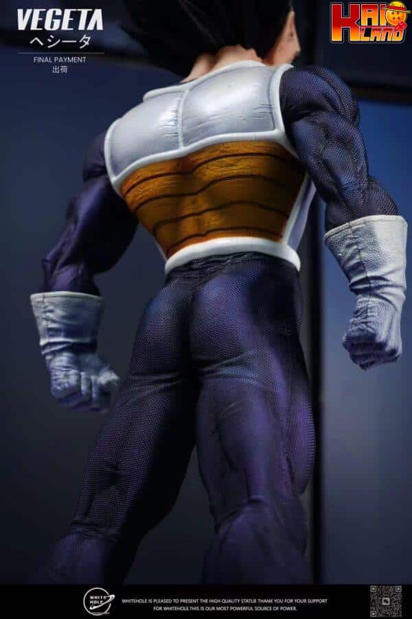 Dragon Ball White Hole Studio Namek Suit Vegeta Resin Statue 5