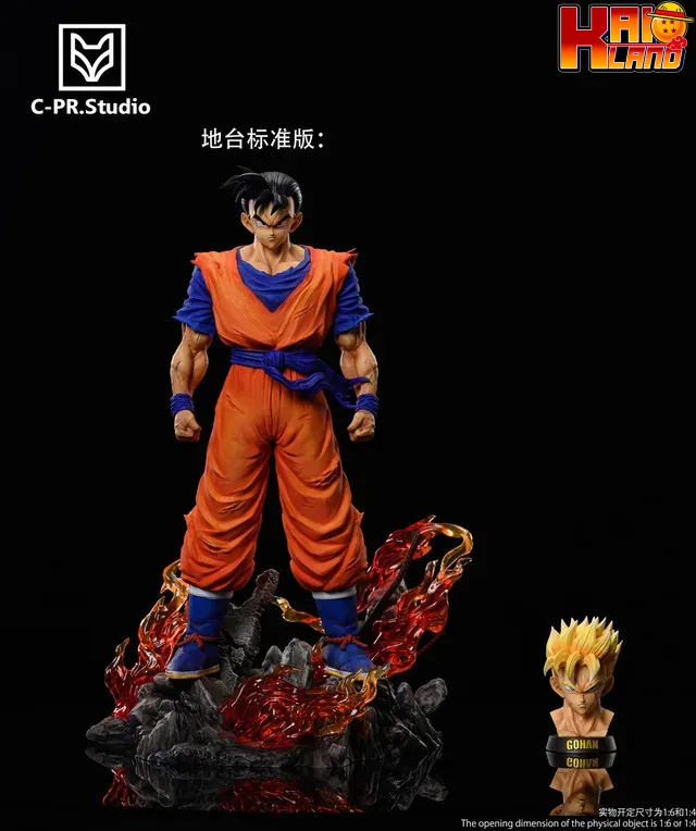 ドラゴンボール ZX DIM スタジオ GT ブラックスター/レッド