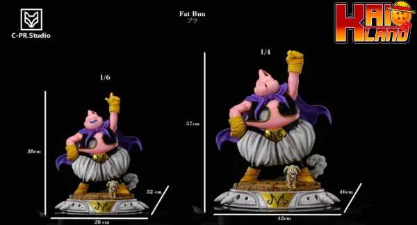 asas 2 scaled jpg