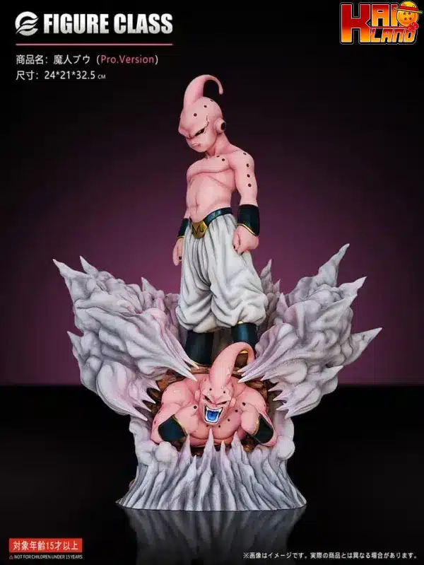 buu 5 jpg