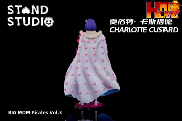 cc 48 2 jpg