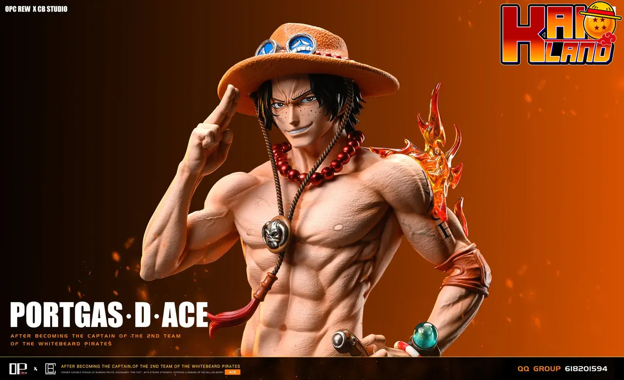 op-skzk-ace-1.jpg