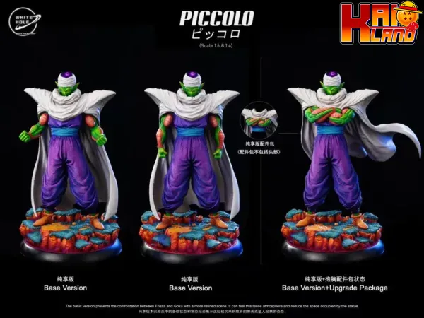 piccolo3 1 jpg