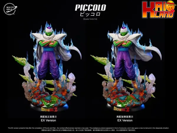 piccolo4 jpg