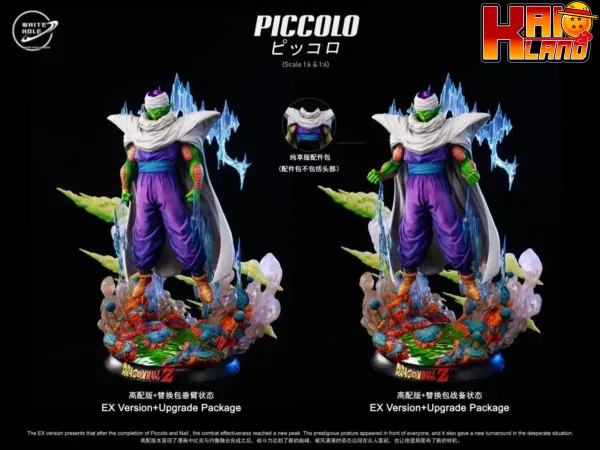 picoolo 2 jpg