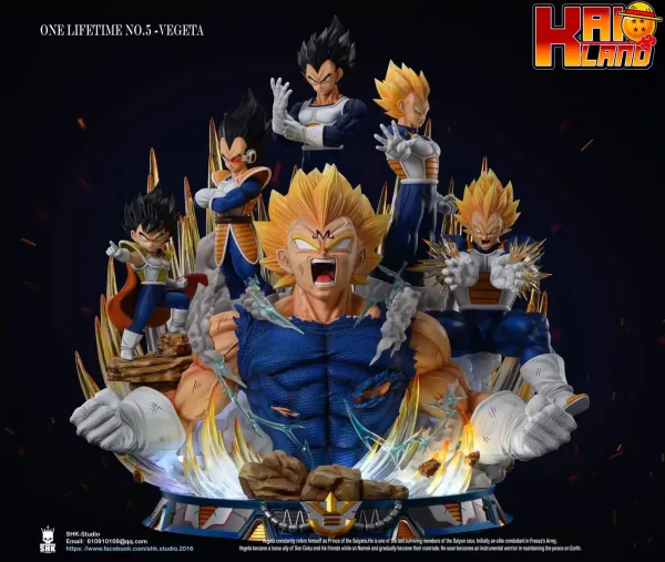 vegeta 1 jpg