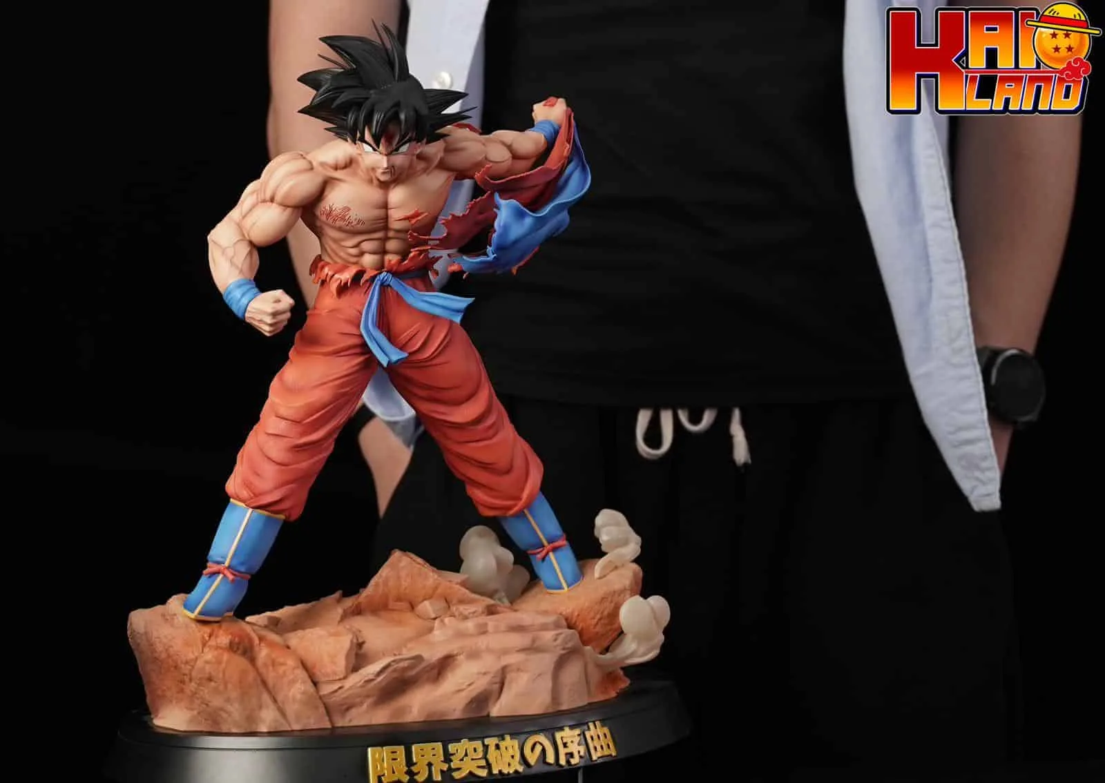 Dragon Ball Real Creation Studio Goku Resin Statue