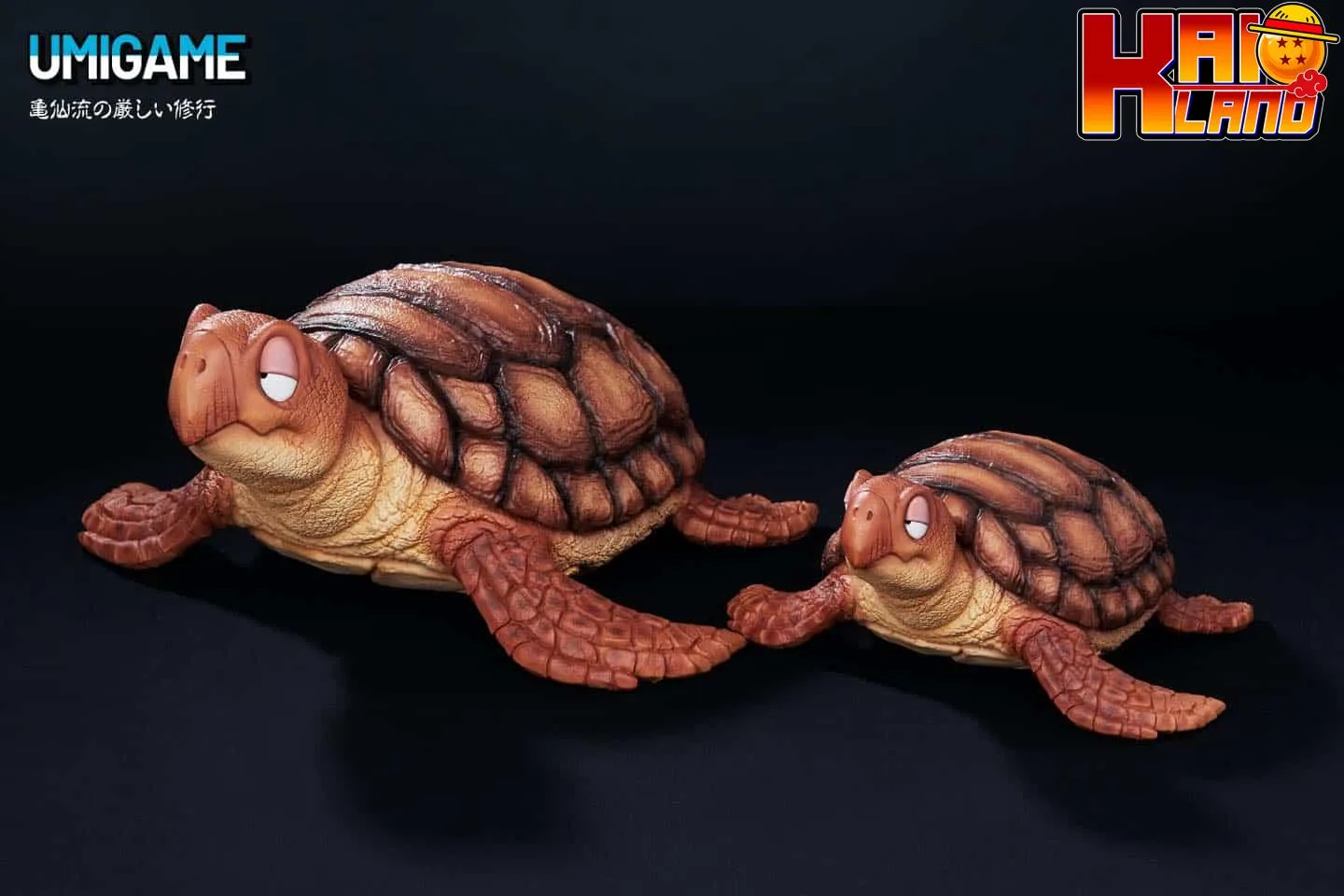 Dragon Ball Infinite Studio Turtle Resin Statue