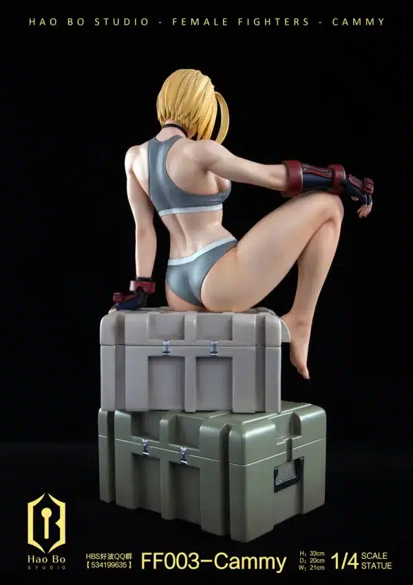 Street Fighter HaoBo Studio Cammy Resin Statue 6