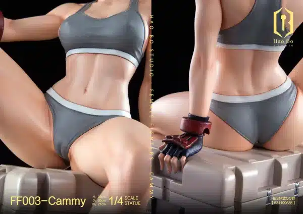 Street Fighter HaoBo Studio Cammy Resin Statue 7