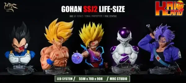 Dragon Ball MRC Studio SSJ2 Gohan V2 Resin Statue 999