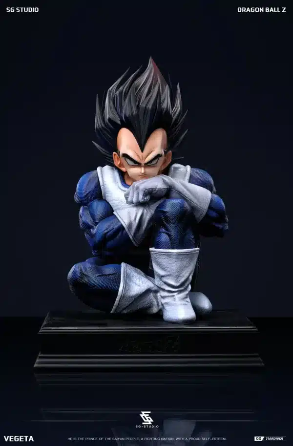 Dragon Ball SG Studio Sitting Vegeta Resin Statue 5