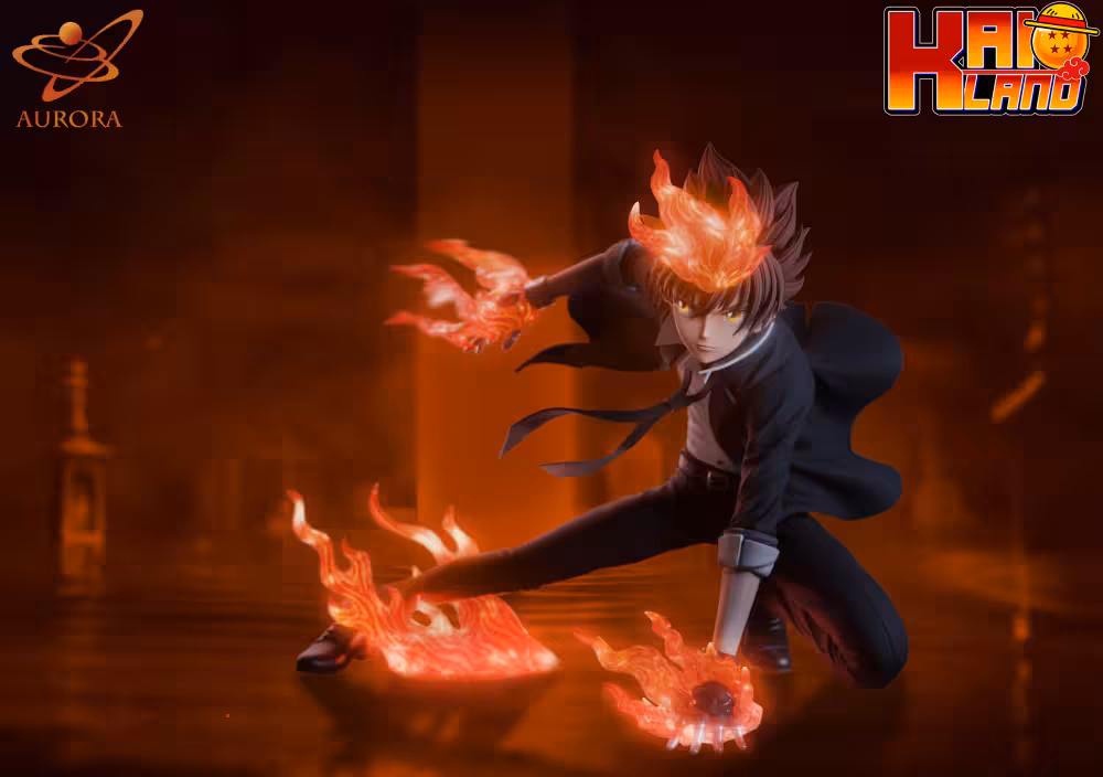 Katekyo Hitman Reborn Aurora Studio Sawada Tsunayoshi Resin Statue