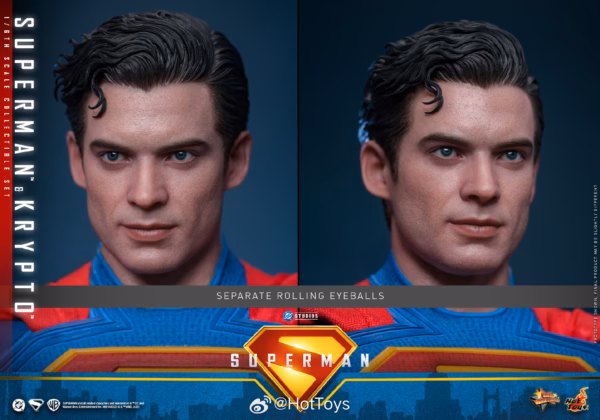 Superman Hottoys Superman x Krypto Licensed 6