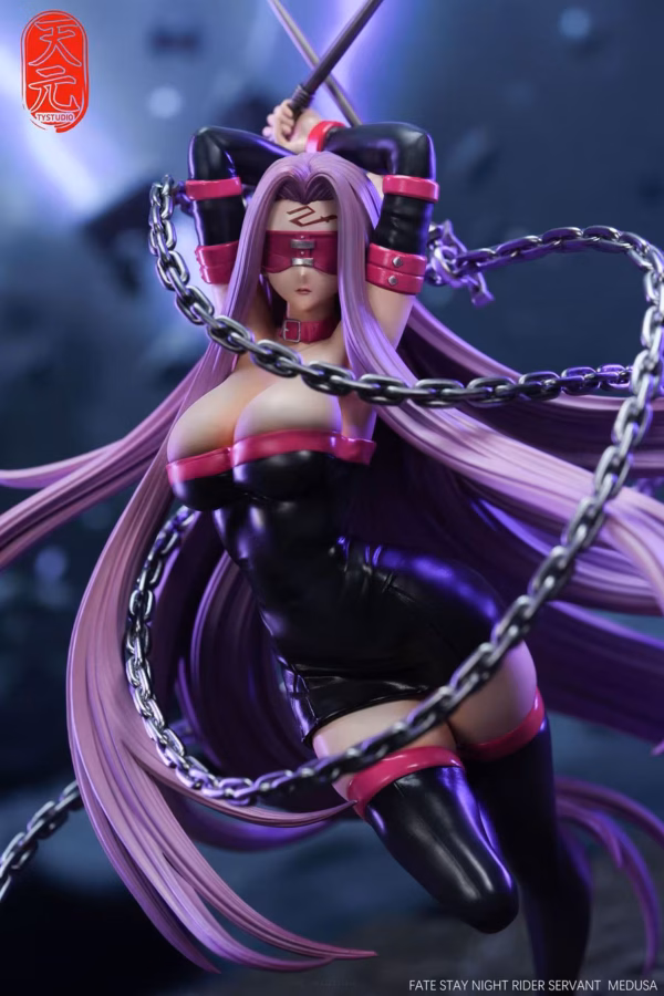 Fate Stay Night TY Studio Rider Resin Statue 3