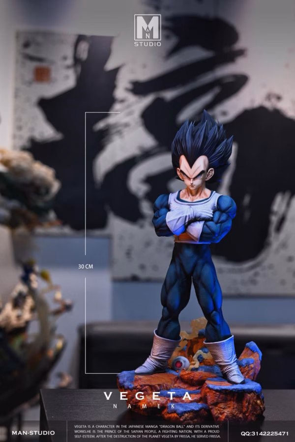 Dragon Ball MAN Studio Vegeta Resin Statue 0