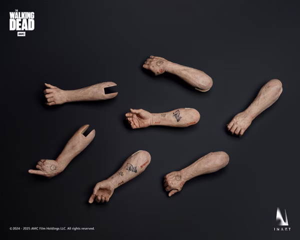 The Walking Dead InArt Collectibles Daryl Dixon 6