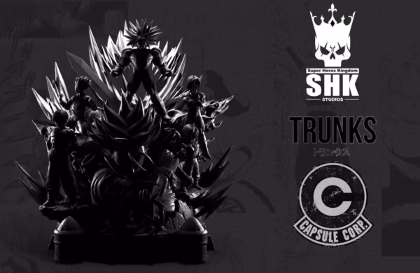 Image 20250918175011 6 858