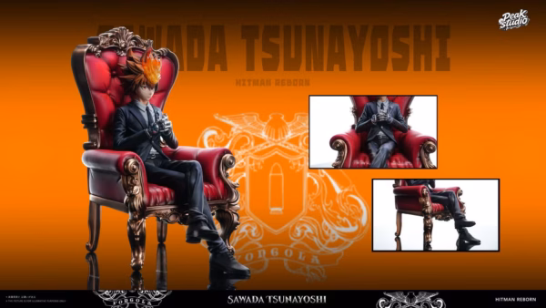 Katekyo Hitman Reborn Peak Studio Sawada Tsunayoshi Resin Statue 2