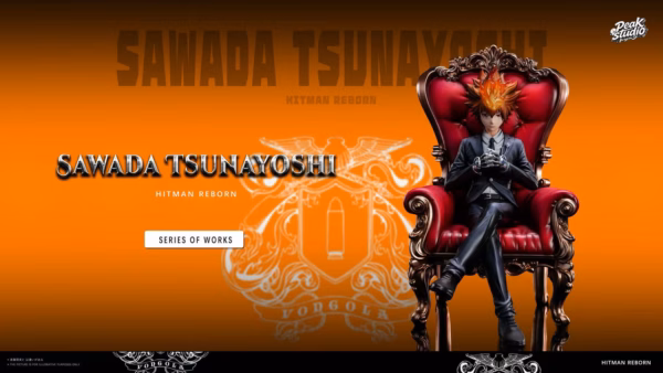 Katekyo Hitman Reborn Peak Studio Sawada Tsunayoshi Resin Statue 3