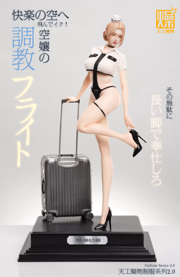 TGZW Studio Flight Attendant Flight Training Resin Statue 5